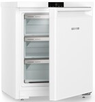 Превью картинка Камера морозильная Liebherr Fe 1003 #5