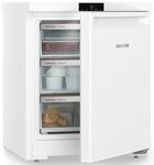 Превью картинка Камера морозильная Liebherr Fe 1003 #8