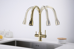 Превью картинка Смеситель для кухни Paulmark LANGE La214212-G Золото G #8