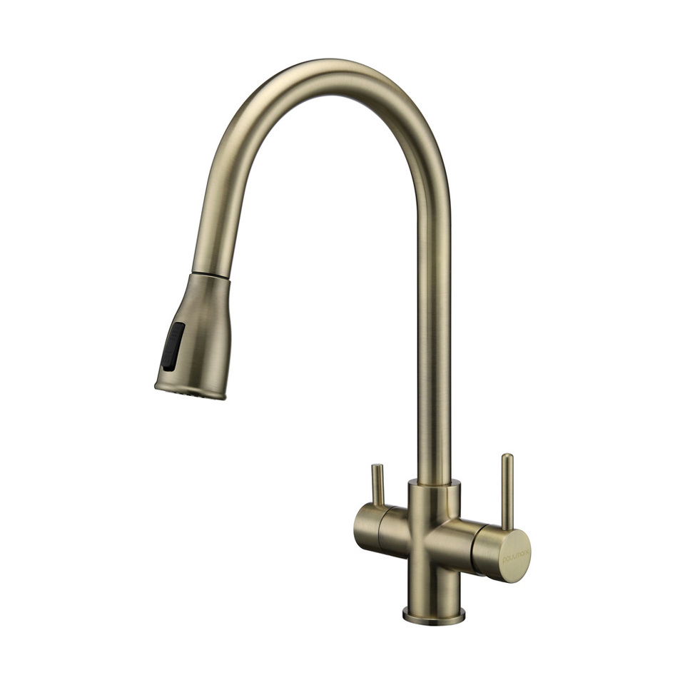 Фото Смеситель для кухни Paulmark LANGE La214212-BR Бронза BR