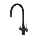 Превью картинка Смеситель для кухни Paulmark SALIX Sa213419-AN Антрацит #1