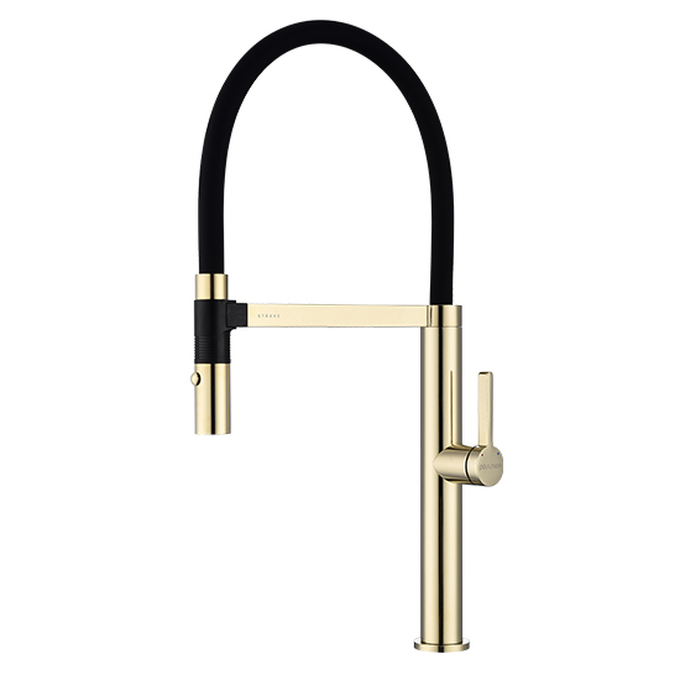 Фото Смеситель для кухни Paulmark LEADER Le214101-G Золото G